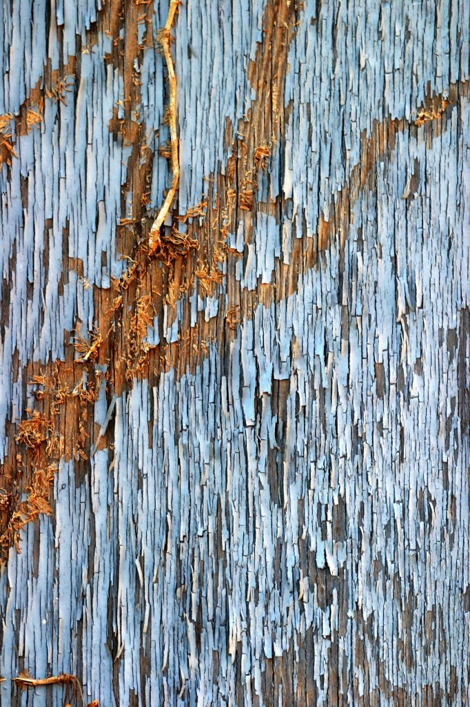 Mignonette Dooley, "Peel," digital photograph, 2009.